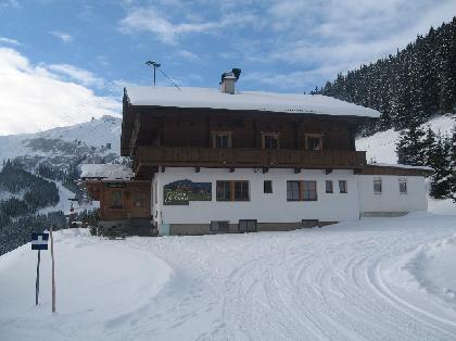 Geisler 2 